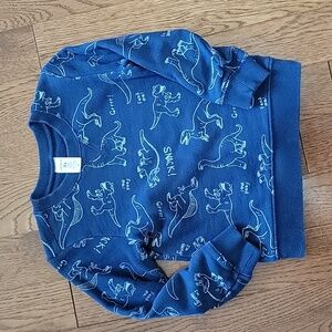 Carter's Blue Dinosaur Print Kids Sweatshirt